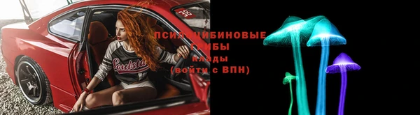 стаф Снежногорск